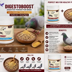 Pigeon Supplement